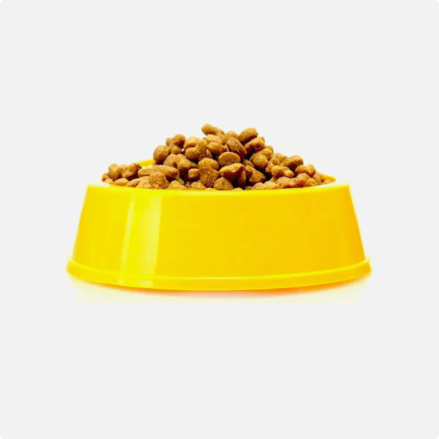 Dogs love freshly baked treats.